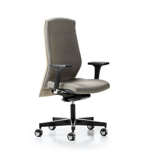 7000-alta-500×500-sedie-poltrone-ufficio-cavagnaarredi-bresciaCAC380B1-3E8F-4F5B-489E-B6B1FB71941B