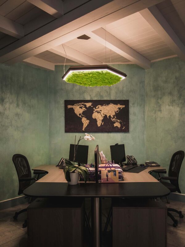 EXAGON_SILENCE_GREEN_ufficio_fonoassorbente_licheni_intra-600×800