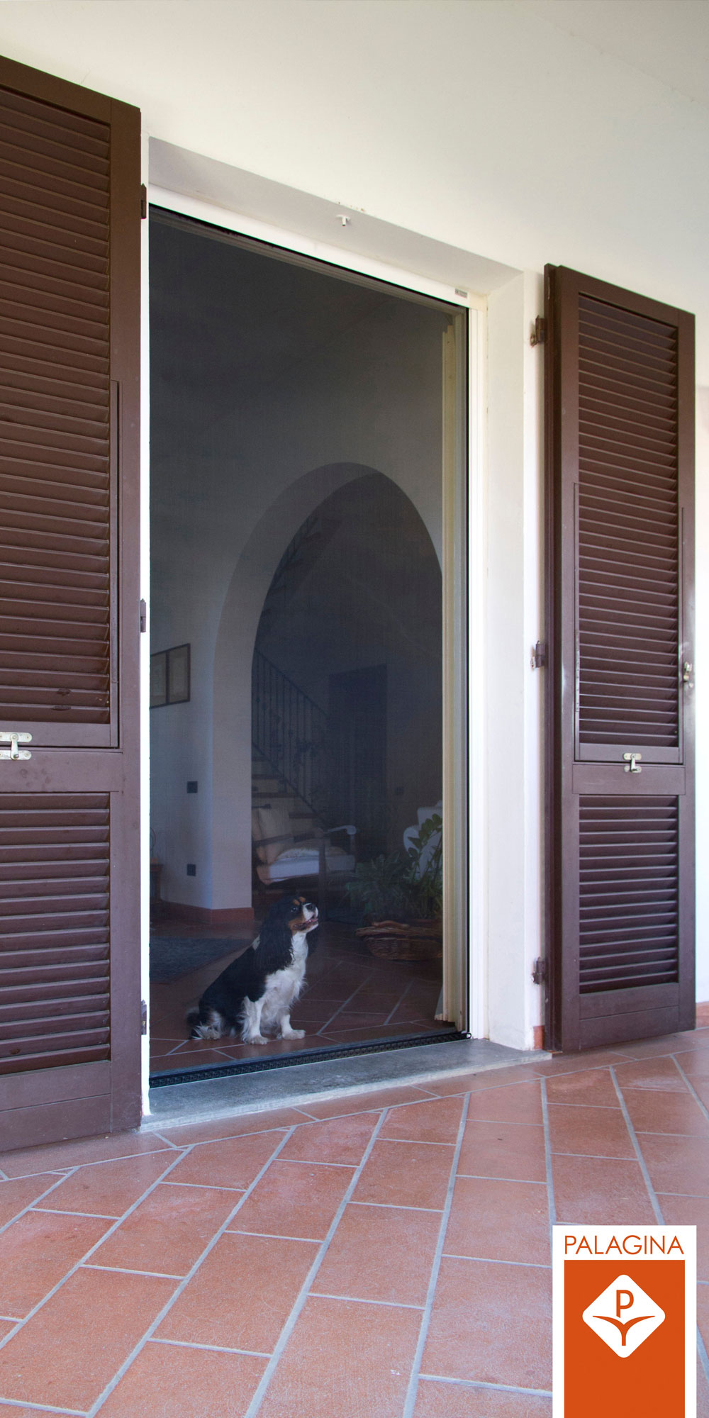 palaginazanzariere4F0B9D4AE-6D00-74B8-F17B-46D9CD611204