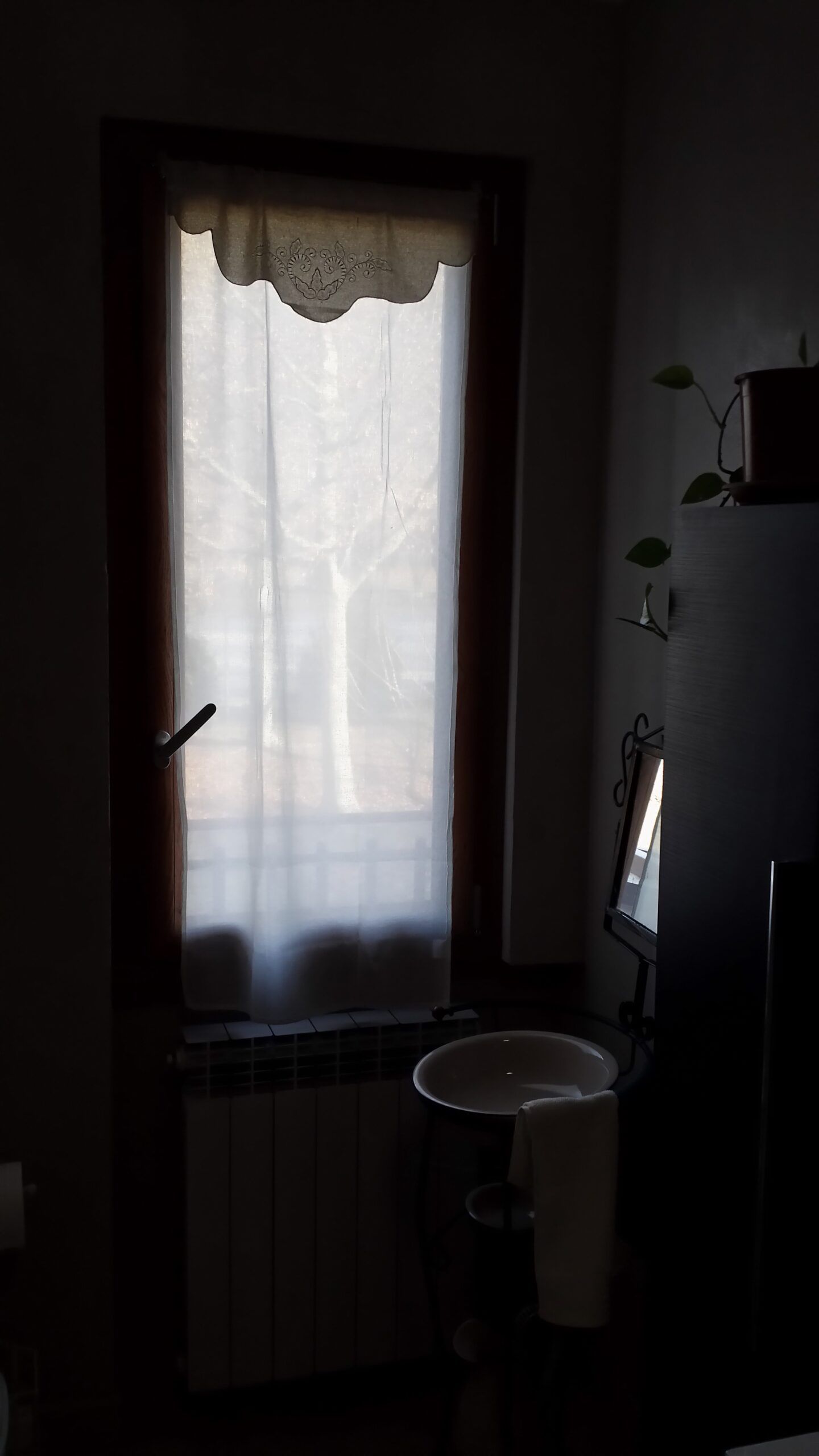 20170109_100516_LLS